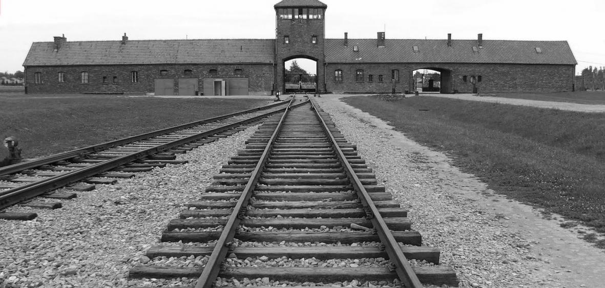 SHOAH21181x563